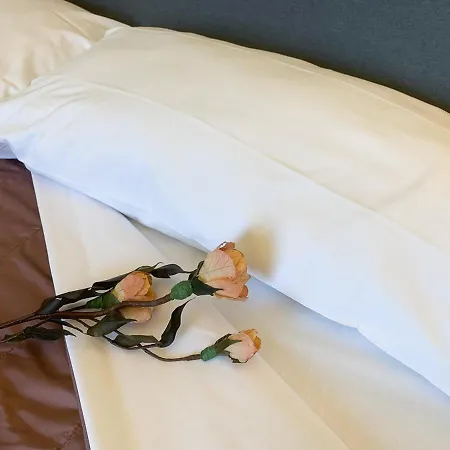 Apartament Casa In Centro. Nel Cuore Della Citta. Chieti